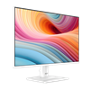 MSI PRO MP251W E2 25