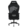 EXVEGA Andromeda 2025 Game Of Thrones Stark Edition Oyuncu Koltuğu