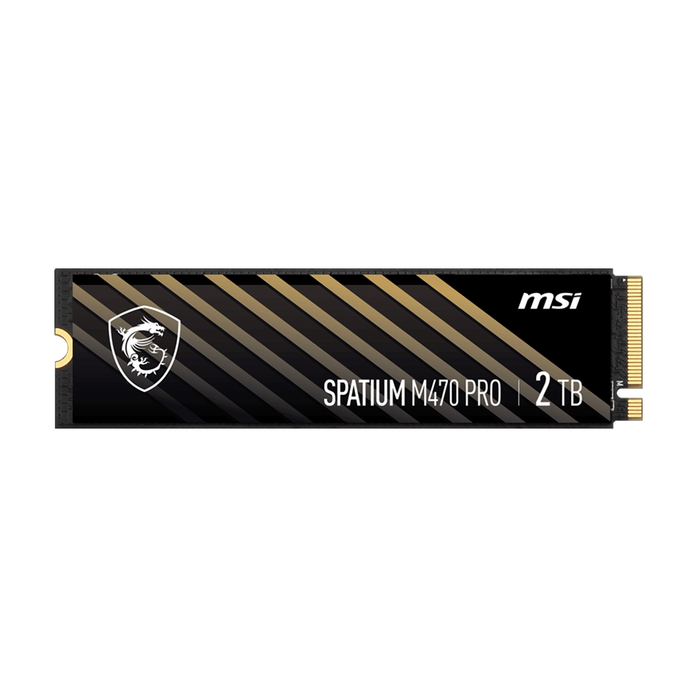 MSI 2TB SPATIUM M470 PRO Gen4 M.2 2280 SSD 6000MB Okuma / 5000MB Yazma