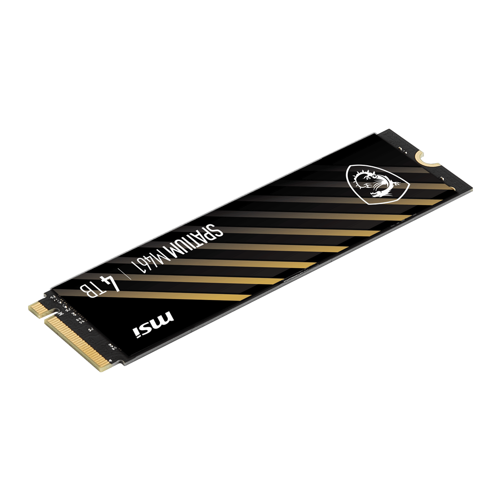 MSI 4TB SPATIUM M461 Gen4x4 M.2 2280 SSD 5000MB Okuma / 4200MB Yazma