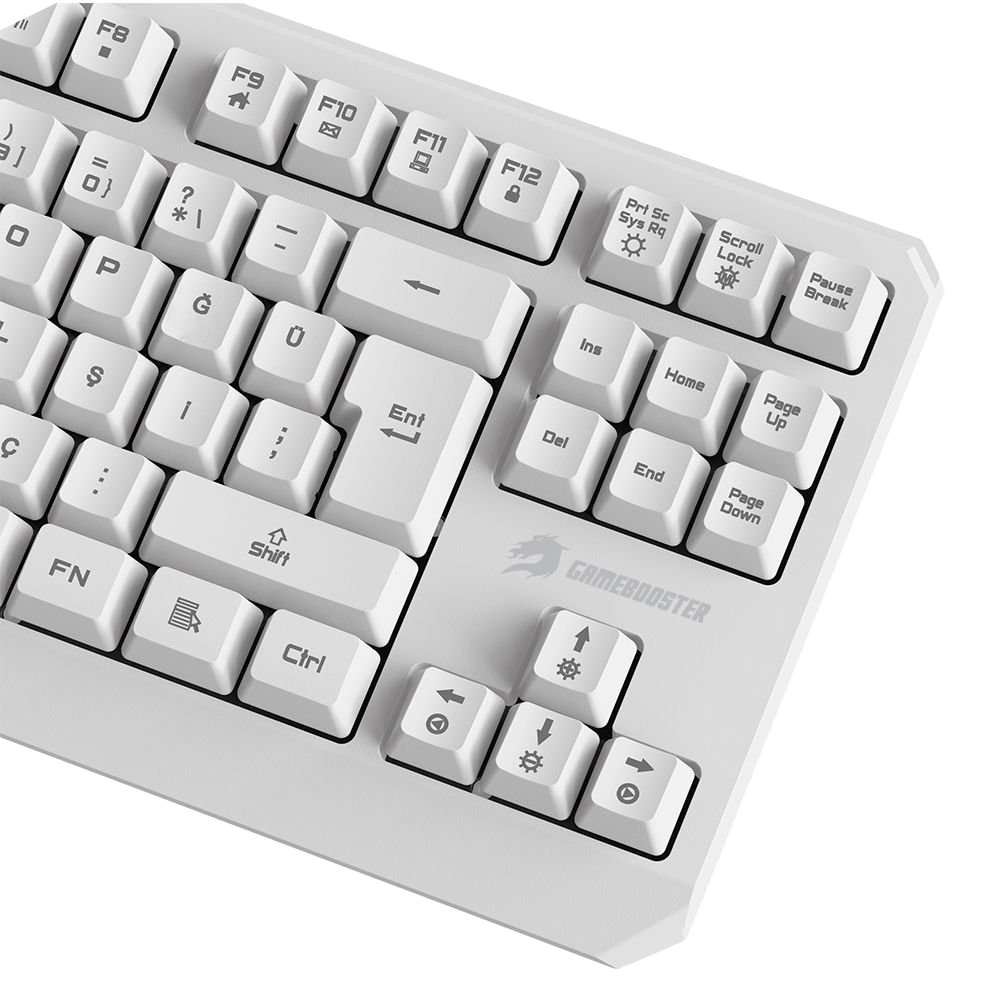 GameBooster G75 Elya Rainbow Aydınlatmalı Beyaz TKL Membrane Gaming Klavye