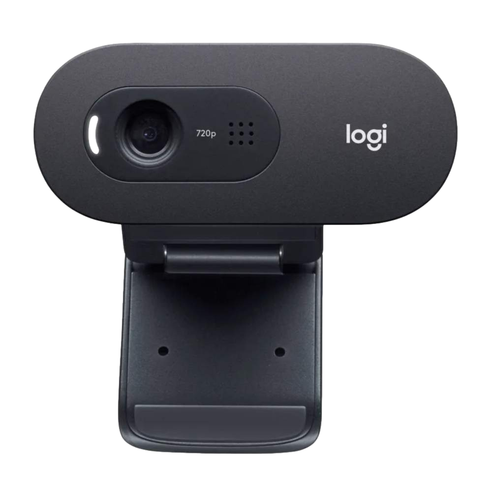 Logitech C505 HD Webcam