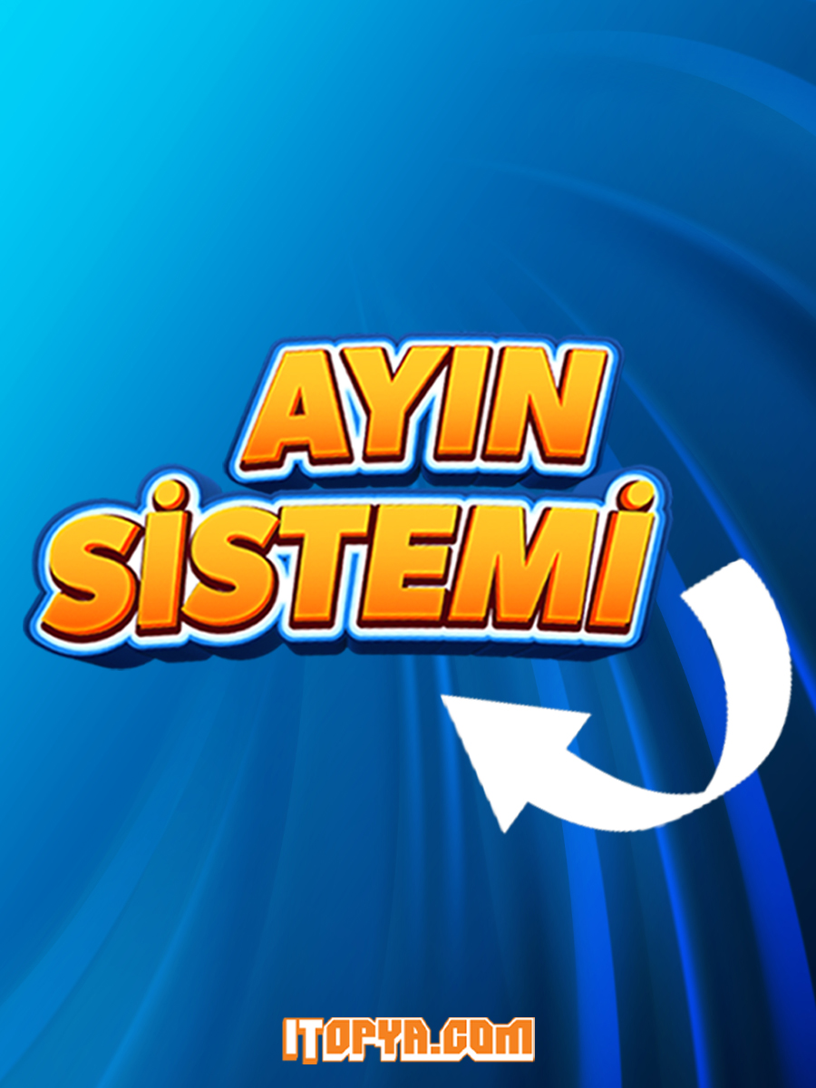 ayınsistemi