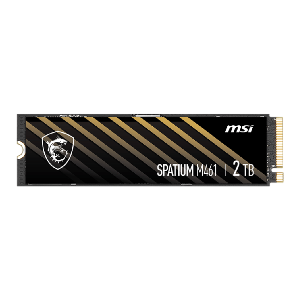 MSI 2TB SPATIUM M461 Gen4 M.2 2280 SSD (5000MB Okuma / 4200MB Yazma)