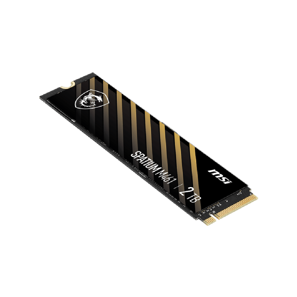 MSI 2TB SPATIUM M461 Gen4x4 M.2 2280 SSD (5000MB Okuma / 4200MB Yazma)