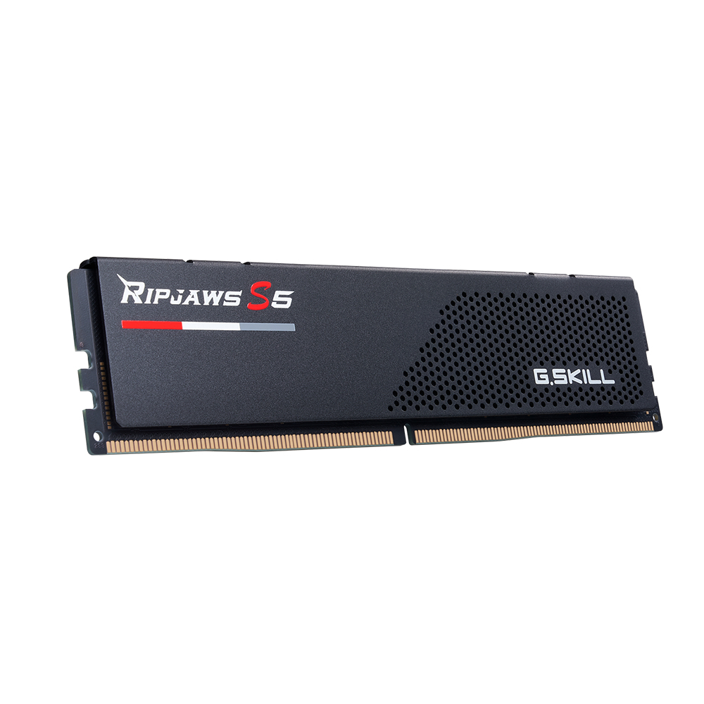 GSKILL 32GB (2x16GB) Ripjaws S5 6400Mhz CL32 DDR5 Siyah Dual Kit Ram