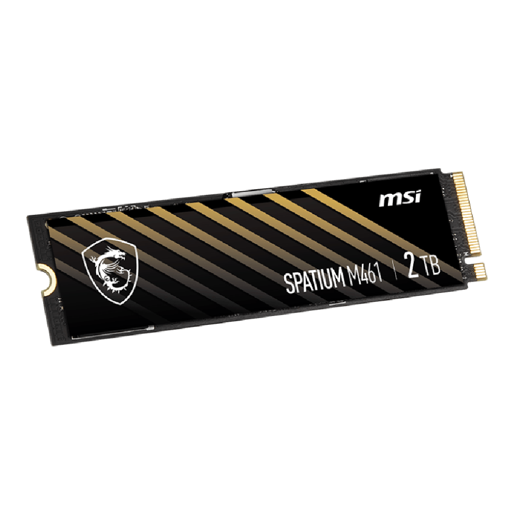 MSI 2TB SPATIUM M461 Gen4x4 M.2 2280 SSD (5000MB Okuma / 4200MB Yazma)