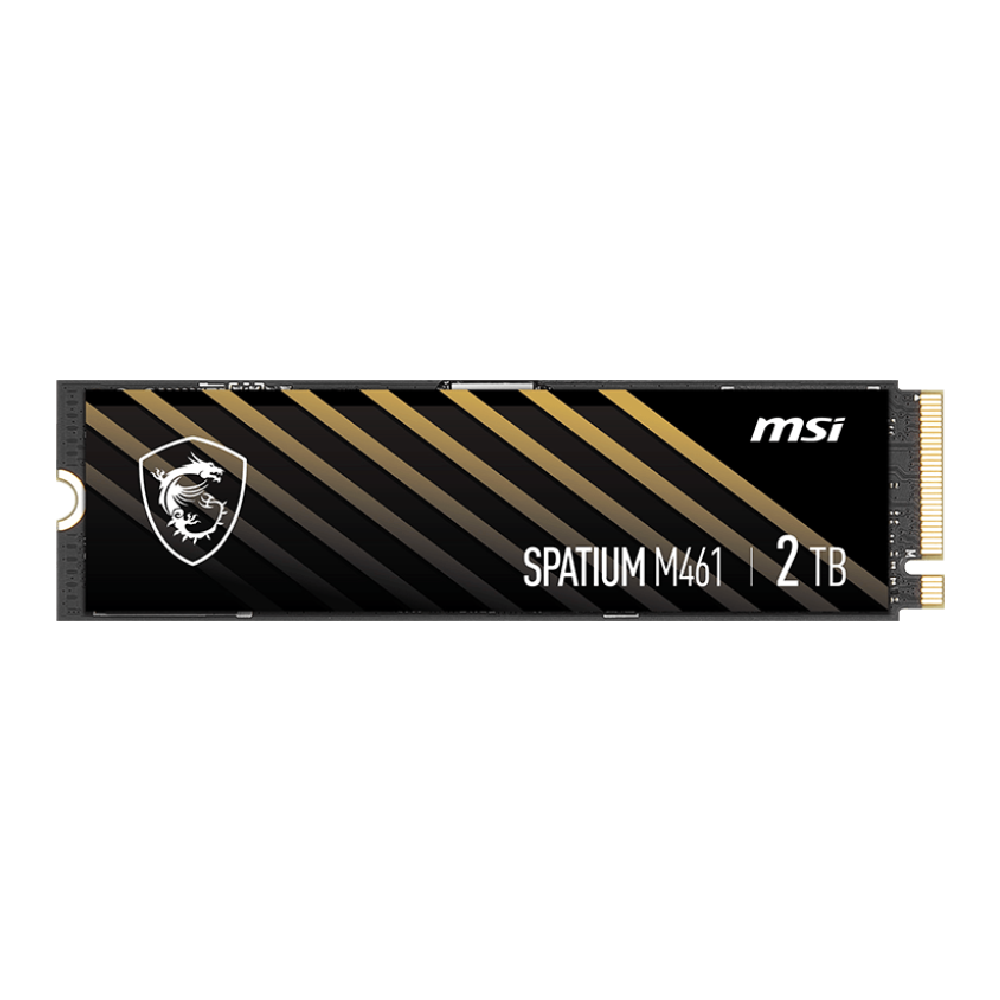 MSI 2TB SPATIUM M461 Gen4x4 M.2 2280 SSD (5000MB Okuma / 4200MB Yazma)