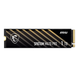 MSI 1TB SPATIUM M470 PRO Gen4 M.2 2280 SSD 6000MB Okuma / 4500MB Yazma