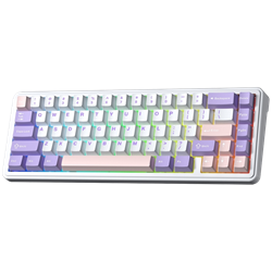 Aula F65 Nimbus V3 Switch Mekanik RGB TKL Kablosuz Gaming Klavye 