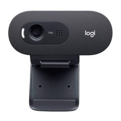 Logitech C505 HD Webcam