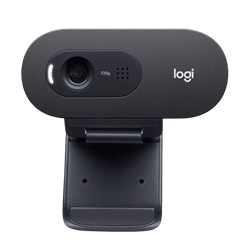Logitech C505e HD Business Webcam