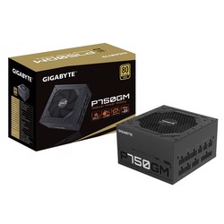 GIGABYTE P750GM 750W 80+ Gold Full Modüler 120mm Fanlı PSU