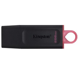 Kingston 256GB DataTraveler Exodia USB 3.2 USB Bellek