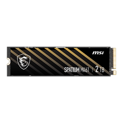 MSI 2TB SPATIUM M461 Gen4 M.2 2280 SSD (5000MB Okuma / 4200MB Yazma)