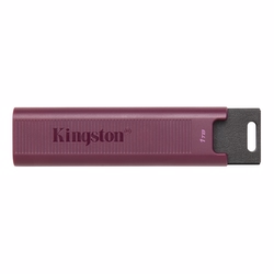 Kingston 1TB DataTraveler Max 1000MB/900MB USB 3.2 Gen 2 USB Bellek