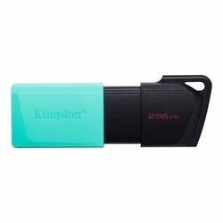 Kingston 256GB DataTraveler Exodia M USB3.2 Flash Bellek
