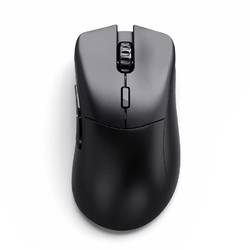 Glorious Model D 2 PRO 1K Polling Siyah Kablosuz RGB Gaming Mouse