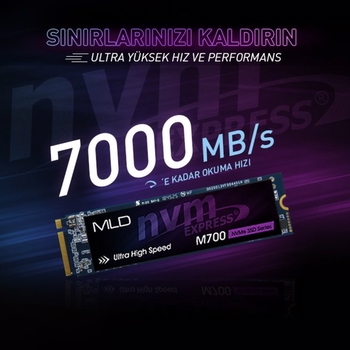 MLD M700 1TB NVME 2280 Gen4x4 M.2 SSD (7000MB Okuma / 5500MB Yazma)