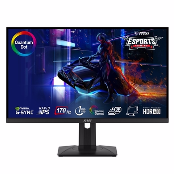 MSI 27